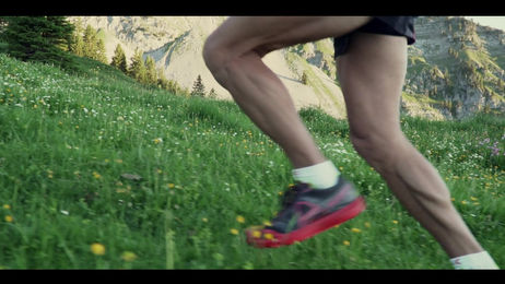 Rougemont Videmanette Run 2200